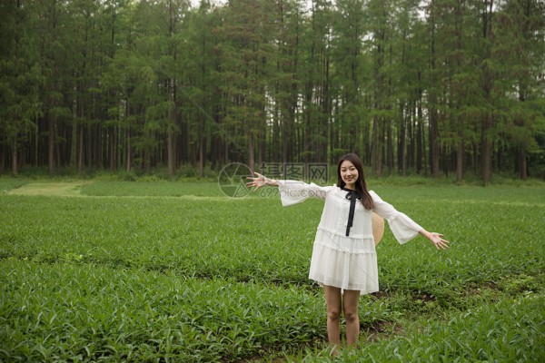 武汉节能桑拿,养生好帮手,设备供应哪家强? 武汉节能桑拿,养生好帮手,设备供应哪家强?